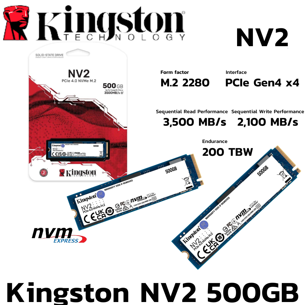KINGSTON NV2 - PCIe 4/NVMe M.2 2280 (SNV2S/500G)500 GB SSD (เอสเอสดี) ประกันไทย Banana