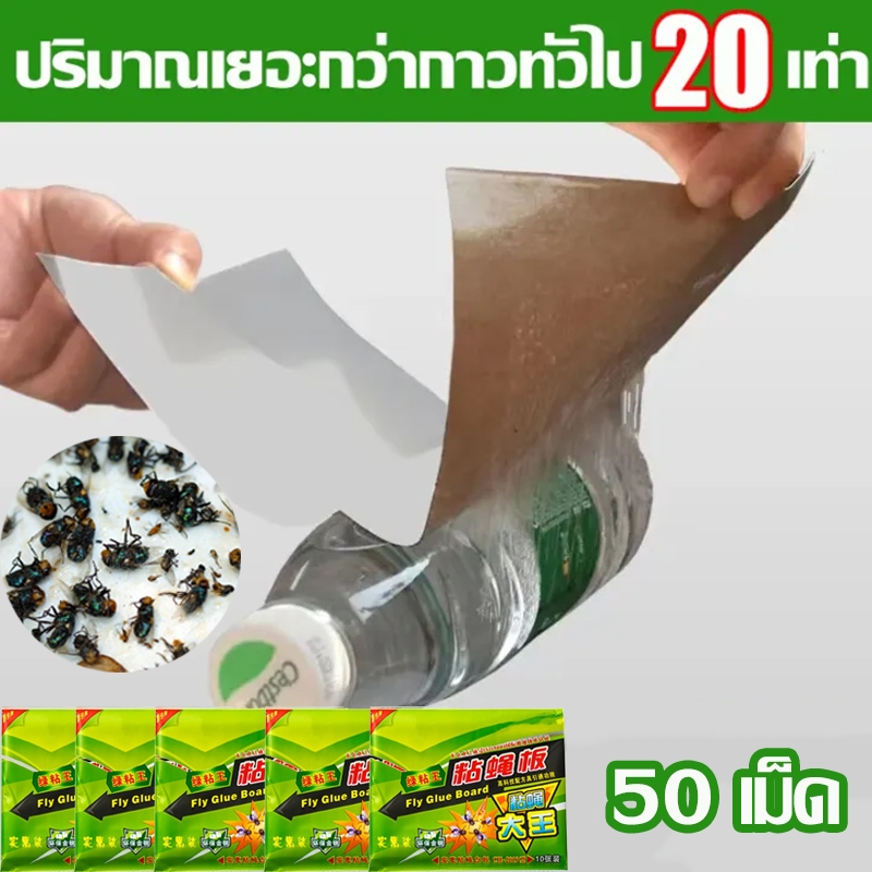 กาวดักแมลงวัน 50/100/150/300 เม็ด แพ็คเกจอย่างดี ดักมด แมลงวัน แมลงขนาดเล็ก
