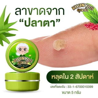 [ของแท้] ครีมไฝคุณย่า ขี้แมลงวัน ติ่งเนื้อ หูด ตาปลา แก้ปัญหา กระ สิวหิน ครีมแต้มไฝคุณย่า ไฝ หูด จี้ไฝ แต้มไฝ