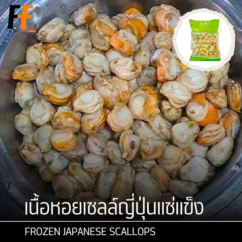 เนื้อหอยเชลล์ญี่ปุ่นแช่แข็ง 1 กิโลกรัม | FROZEN JAPANESE SCALLOPS