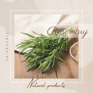 RA’CHAA Rosemary Oil Hair & Body Oil บำรุงผมและผิว กลิ่นหอมอ่อนๆ 50 ml
