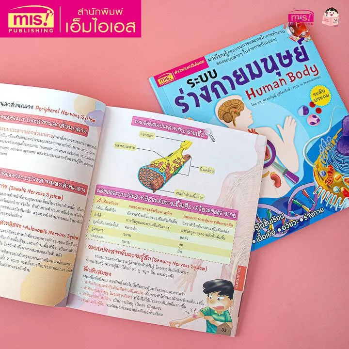 MISBOOK หนังสือระบบร่างกายมนุษย์ ระดับประถม พร้อมโมเดล Human Body และการ์ดคำศัพท์อังกฤษ-ไทย อวัยวะภายใน 11 ใบ thumbnail 5