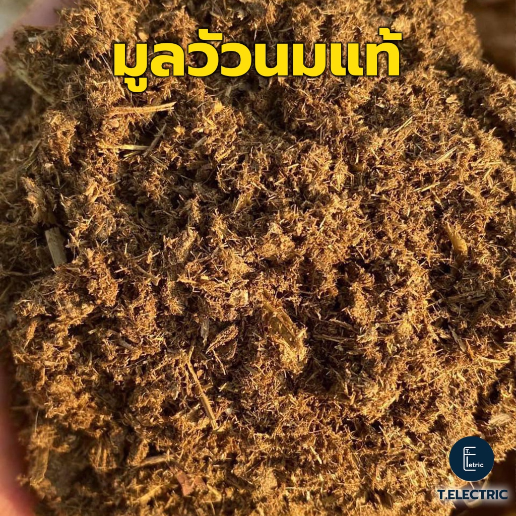 มูลวัวนมแท้ 900 กรัม ทำให้ดินร่วนซุย ปลอดสาร ไม่มีโซดาไฟ ขี้จากวัวนม ปุ๋ยขี้วัว ปุ๋ยธรรมชาติ ขี้วัวนมแห้ง
