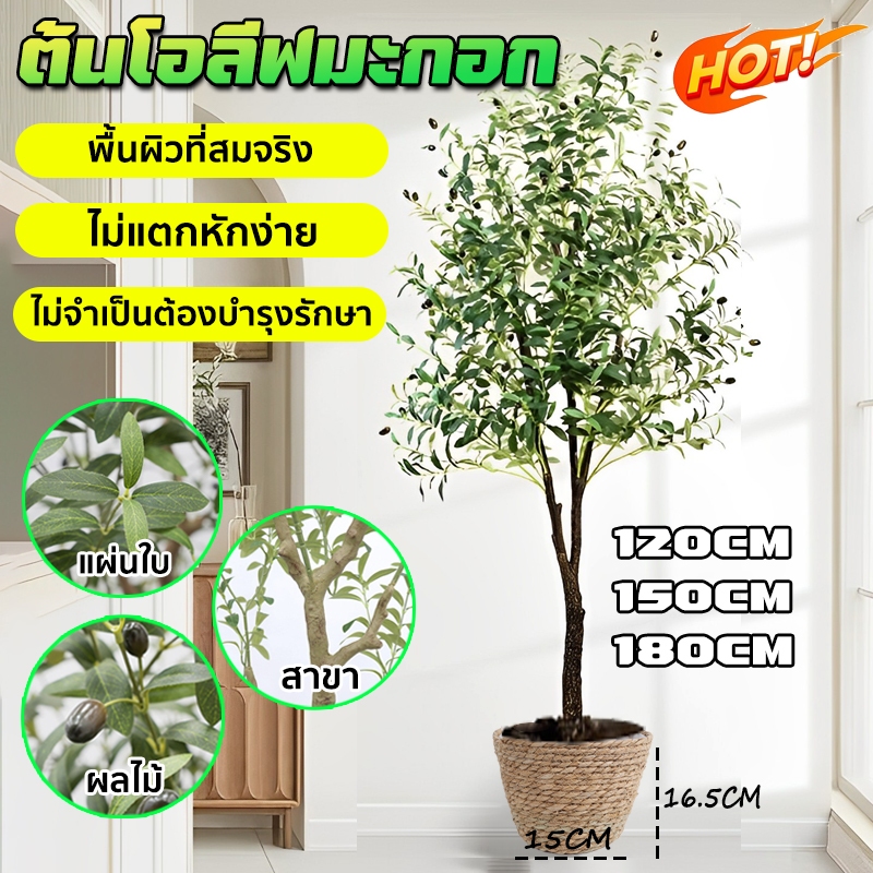 ต้นโอลีฟ ต้นมะกอกปลอม 120/150/180cm ของแต่งบ้าน การจำลองระดับสูง ยากที่จะบอกจริงจากเท็จ ารตกแต่งภายในห้อง/หน้าร้าน