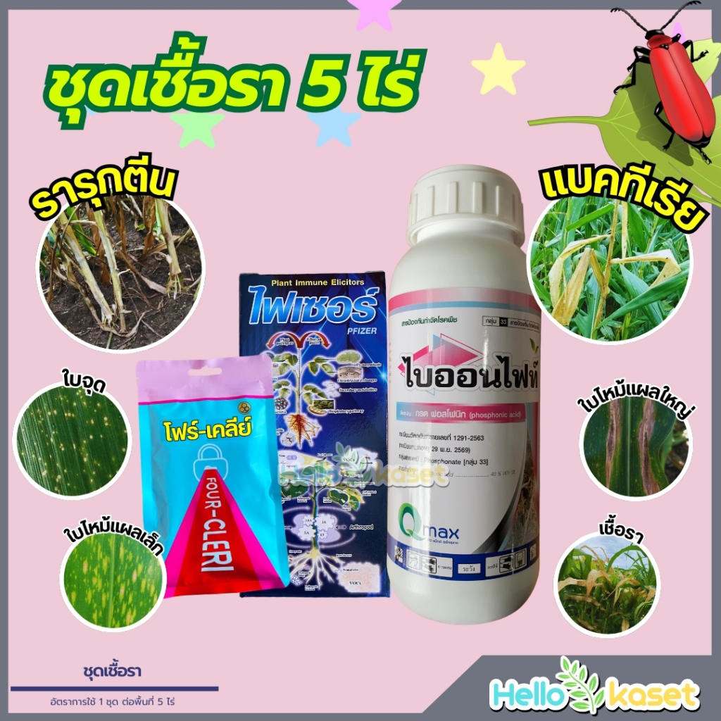 ชุดป้องกันกำจัดเชื้อรา ชุด 5 ไร่ไฟเซอร์ 250=1 +ไบออนไฟท์500=1 +โฟร์เคลีย์ 1 ช่วยป้องกันกำจัดโรคพืช