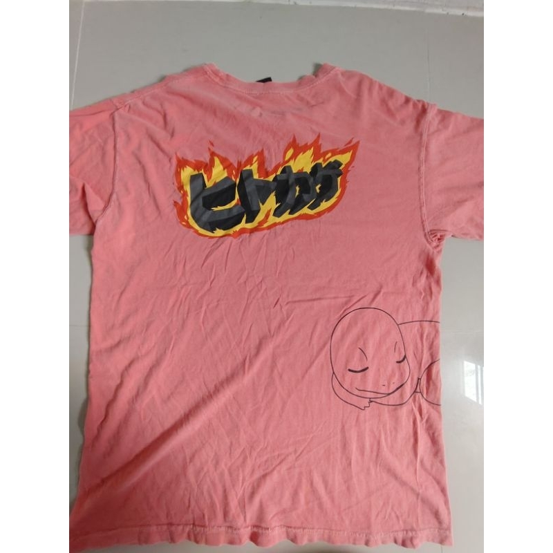 เสื้อลายการ์ตูนโปเกม่อน