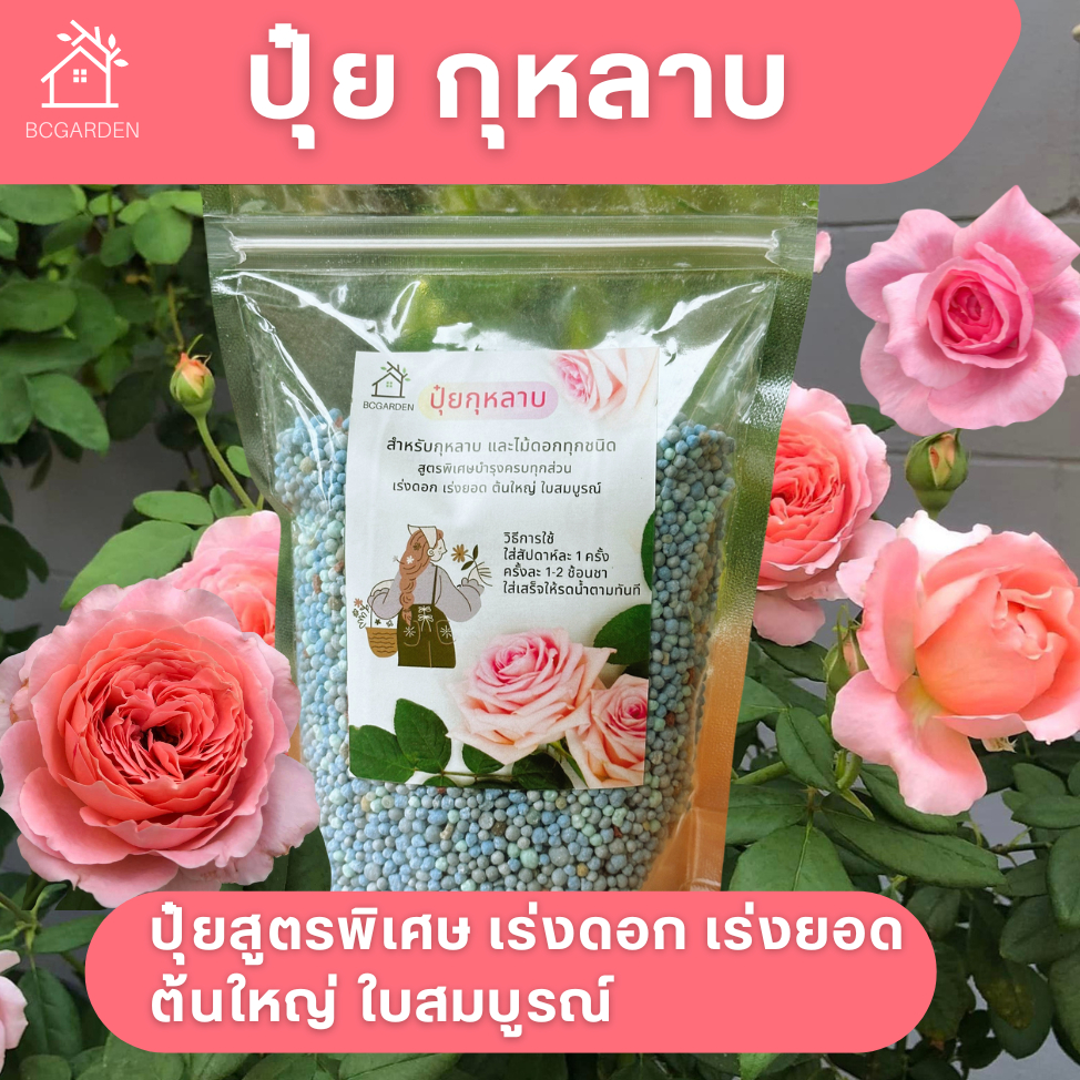 ปุ๋ยกุหลาบ เร่งดอกดก สีสด บำรุงต้นแข็งแรง สูตรพิเศษสำหรับไม้ดอก