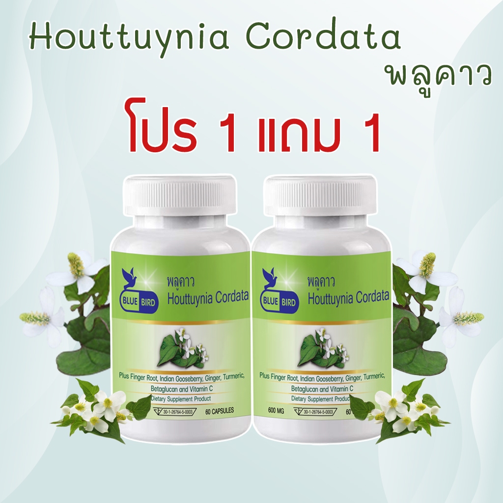 [1 แถม 1]พลูคาว คาวตอง Cordata ตรา บลูเบิร์ด ขนาด 600 มิลลิกรัม 60 แคปซูล