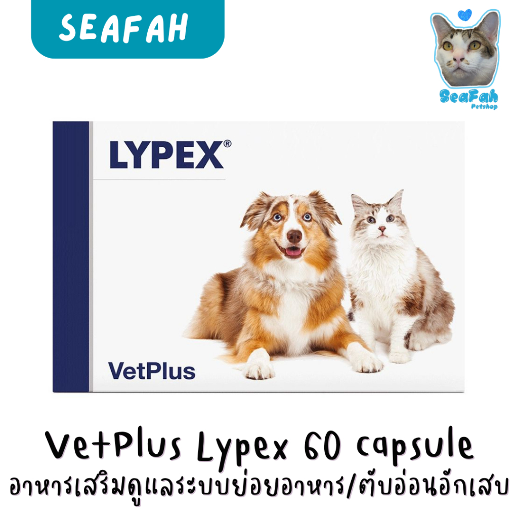 [1 กล่อง 60 แคปซูล] Lypex ดูแลระบบย่อยอาหาร / ตับอ่อนอักเสบ สำหรับสุนัขและแมว