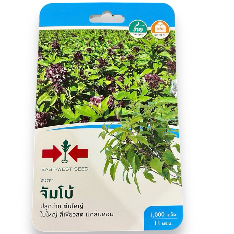 ศรแดง เมล็ด โหระพา จัมโบ้ (1000 เมล็ด) ราคาถูก Shopee Lazada