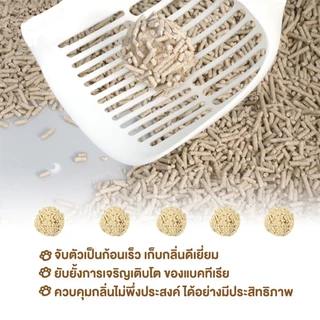 Shopee Hot Deal ทรายแมวเต้าหู้พรีเมี่ยม 100% ธรรมชาติ ไม่มีสารเคมี ช่วยลดกลิ่นแมวได้ทันใจ-คลิกเลยก่อนหมดสต็อก!