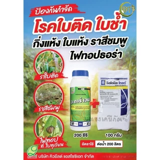 ขนาด 500 กรัม ริดโดมิลโกลด์ เอ็มแซด 68 ดับบลิวจี คิวยีลด์ สารป้องกันกำจัดโรคพืช