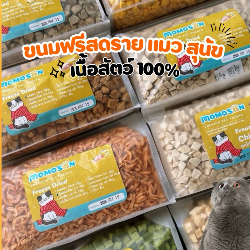 [ถุงใหญ่] ขนมฟรีซดรายแมว สุนัข เนื้อสัตว์100% ไม่เค็ม อกไก่ ตับไก่ อกเป็ด แซลมอน ไข่แดง ปลาค็อด หญ้าแมว ขนมแมว ขนมหมา