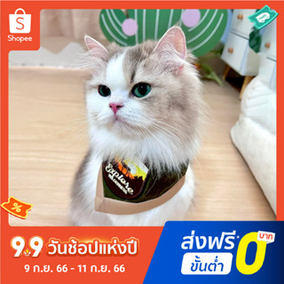 ผ้าพันคอสัตว์เลี้ยง ผ้าพันคอตีมลูกเสือ ผ้าพันคอหมา แมว | Clawset.bkk