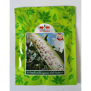 [ศรแดง] เมล็ดข้าวโพดข้าวเหนียวลูกผสม สวีทไวโอเล็ท F1