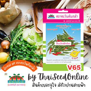 ADV ซฟ เมล็ดพันธุ์ พริกขี้หนูสวน หอมกาญจน์ ตราตะวันต้นกล้า V65