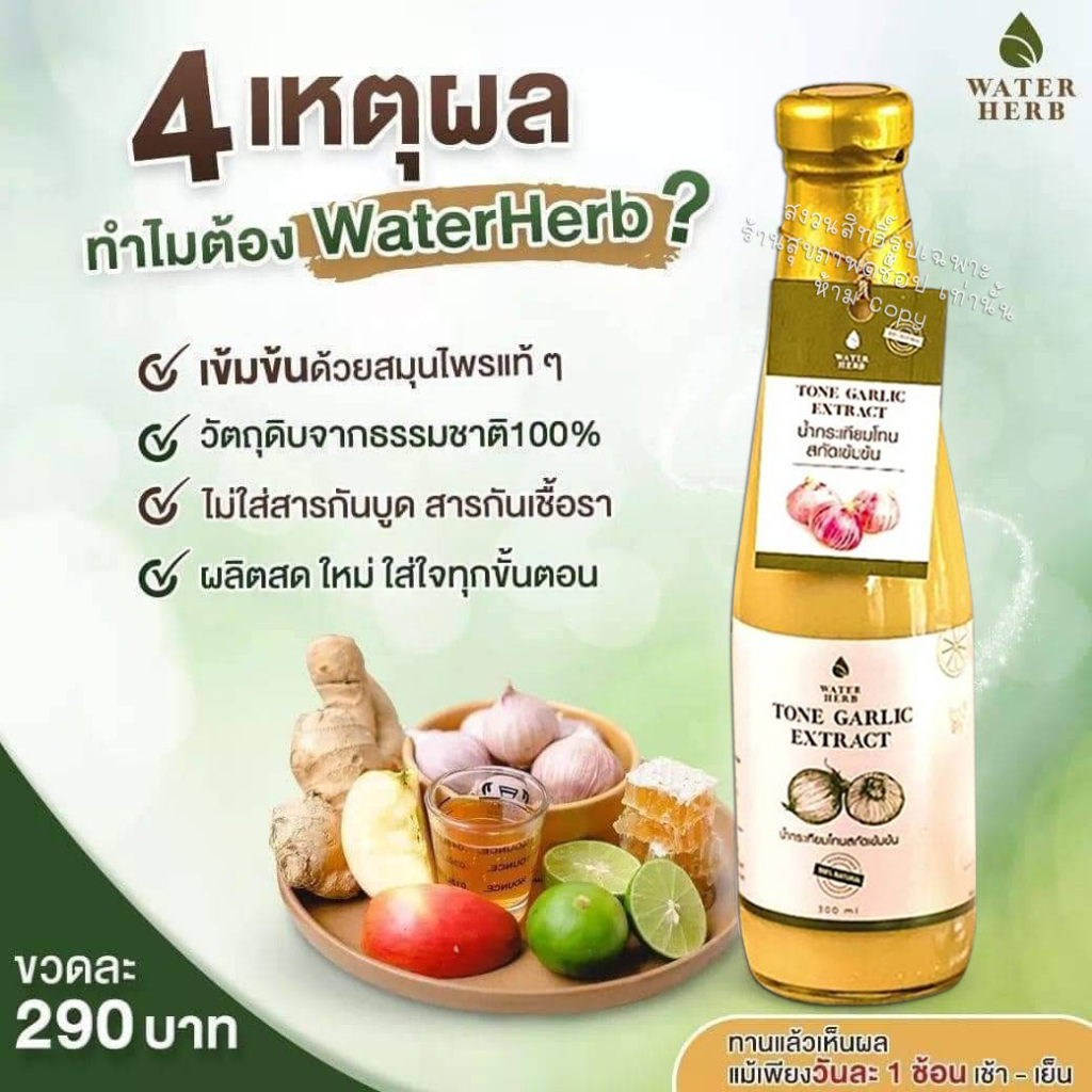 น้ำกระเทียมโทน สกัดเข้มข้น (WATERHERB) น้ำกระเทียมโทน ขิง มะนาว น้ำแอปเปิ้ลไซเดอร์ น้ำผึ้ง /ชุด 2ขวด - รูปที่ 2