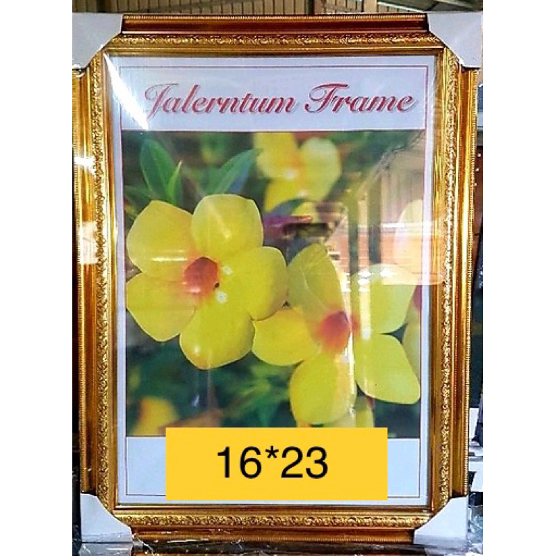 กรอบเปล่าพร้อมกระจก ขนาด15*22นิ้วและ16*23นิ้วและ15*23นิ้ว