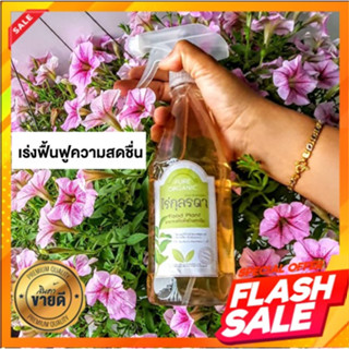 013 อาหารพืช แบบเสเปย์ 250ml. ฉีดพ่น พืชกินทางใบ โดนตรงไหน ใหญ่ตรงนั้น พืชสดชื่น ฟื้นตัวเร็ว