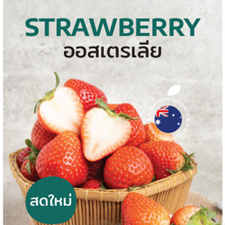 CityFresh สตรอเบอร์รี่ 𝐒𝐭𝐫𝐚𝐰𝐛𝐞𝐫𝐫𝐢𝐞𝐬 จากออสเตรเลีย ผลไม้นำเข้า