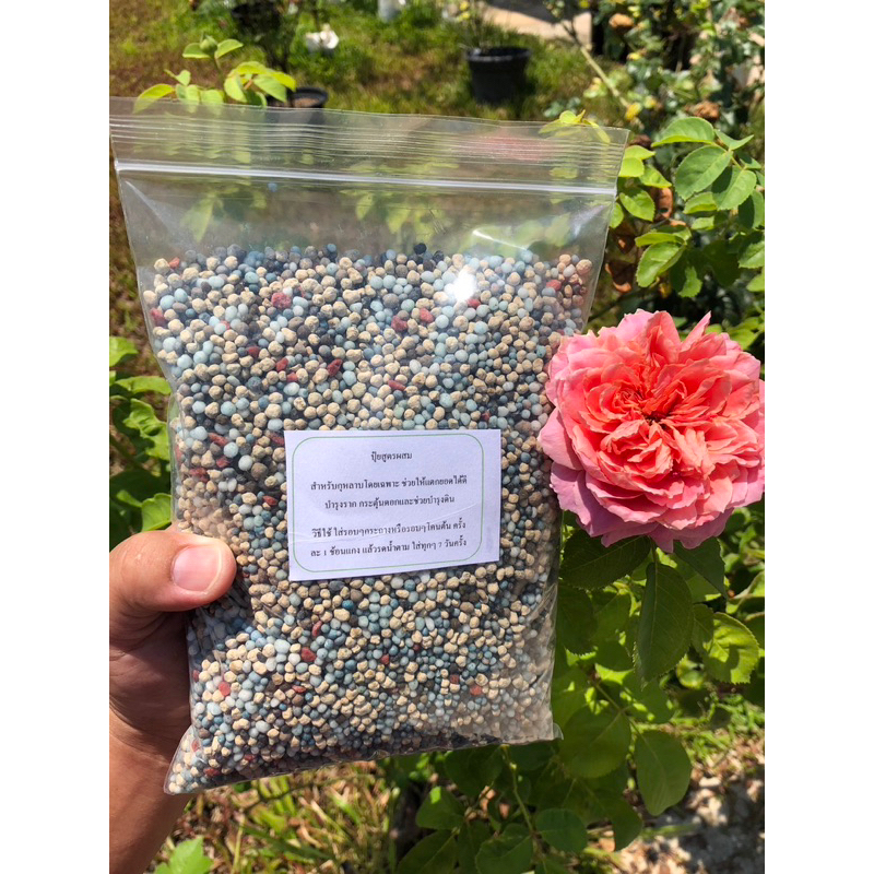 ปุ๋ยกุหลาบ ขนาด900กรัม สูตรบำรุงครบทุกส่วน ใช้ได้กับไม้ดอกไม้ประดับและไม้ผลทั่วไป