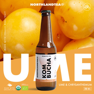 Northlandtea - Kombucha Ume &amp; Chrysanthemum 280 ml. - คอมบูชา Probiotic - สร้างจุลินทรีย์ที่ดีในร่างกาย ช่วยขับถ่าย