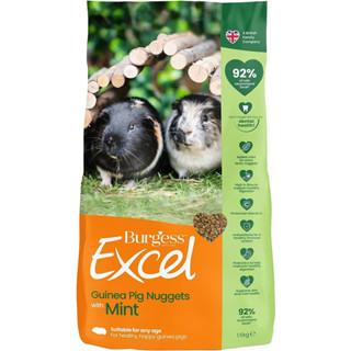 Burgess Excel Adult Guinea Pig Nuggets with Mint เบอร์เจสส์อาหารแกสบี้รสมิ้นต์ ขนาด 1.5 kg.