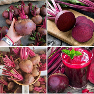 พร้อมส่ง‼️1KG บีทรูทสด คัดเกรดพรีเมี่ยม beetroot