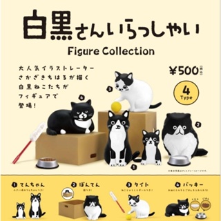 🐈‍⬛ ของแท้ พร้อมส่ง 🐈‍⬛ กาชาปองน้องแมวทูโทน : Shirokuro san ครบชุด 4 แบบ