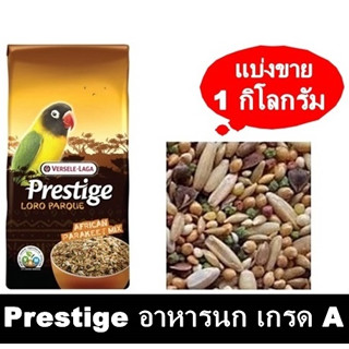 PLP African เกรดพรีเมี่ยม อาหารนก เลิฟเบิร์ด ฟอฟัส แบ่งขาย 1 กิโลกรัม