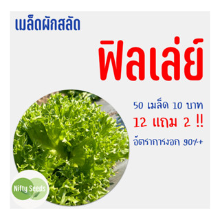 เมล็ดสลัด ฟิลเลย์ 10 บาท งอกดีมีคู่มือในการปลูก