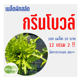 เมล็ดสลัด กรีนโบวล์ 100 เมล็ด 10 บาท งอกดีมีคู่มือในการปลูก