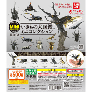 [สินค้าพร้อมส่ง] กาชาปองด้วง Gashapon Bandai , Ikimono Encyclopedia Mini Collection 03 โมเดลสัตว์ ของสะสม