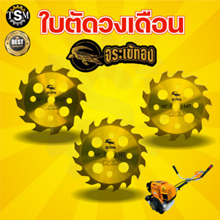 ใบตัดไม้ยูคา ตรา จระข้ทอง  ขนาด 10นิ้ว 12 , 14 ,16 ฟัน คุณภาพ (เกรดพรีเมียม) ใบตัดวงเดือน ใบตัดไม้ ใบตัดยูคา ใบตัดคม