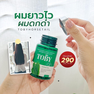 ส่งฟรี โทบี้ Toby horsetail วิตามินลดผมร่วง จากหญ้าหางม้าสกัดเย็น โทบี้ลดผมร่วง Tobyลดผมร่วง toby ผมร่วง toby ลดผมร่วง