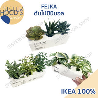 [พร้อมส่ง] IKEA - ไม้ประดิษฐ์ในกระถาง ต้นไม้ปลอม สไตล์มินิมอล ใช้ตกแต่งบ้าน ชุดละ 3 ชิ้น รุ่น FEJKA จาก อิเกีย