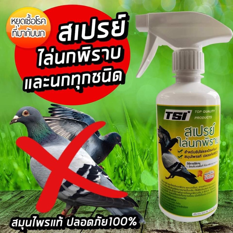 สเปรย์ไล่นกพิราบทุกชนิด สูตรเข้มข้น