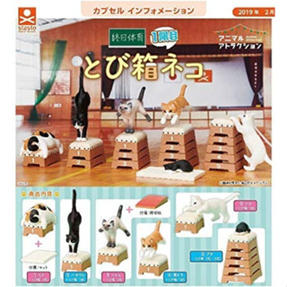 กาชาปองแมวเล่นยิมนาสติก V.2 / Gashapon Cat &amp; School’s Jumping Box Animal Attraction 2