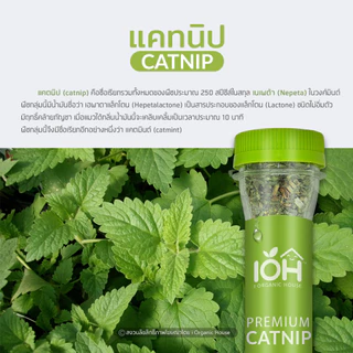 IOH PREMIUM CATNIP - LEAF AND BUD - แคทนิป กัญชาแมวพรีเมี่ยม สายพันธุ์ Nepeta Cataria นำเข้าจาก USA