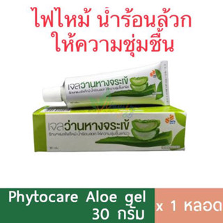 ว่านหางจระเข้ องค์การ aloevera ไฟไหม้ น้ำร้อนล้วก