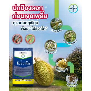 โปรวาโด้ (สารอิมิดาโคลพริด) 1 ก.ก. ของไบเออร์แท้