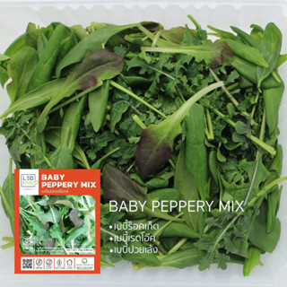 [ตัดสดทุกออเดอร์] เบบี้เปปเปอรี่มิกซ์ (Baby Peppery Mix) เบบี้ลีฟ ผักสดสะอาด ปลอดสารเคมี