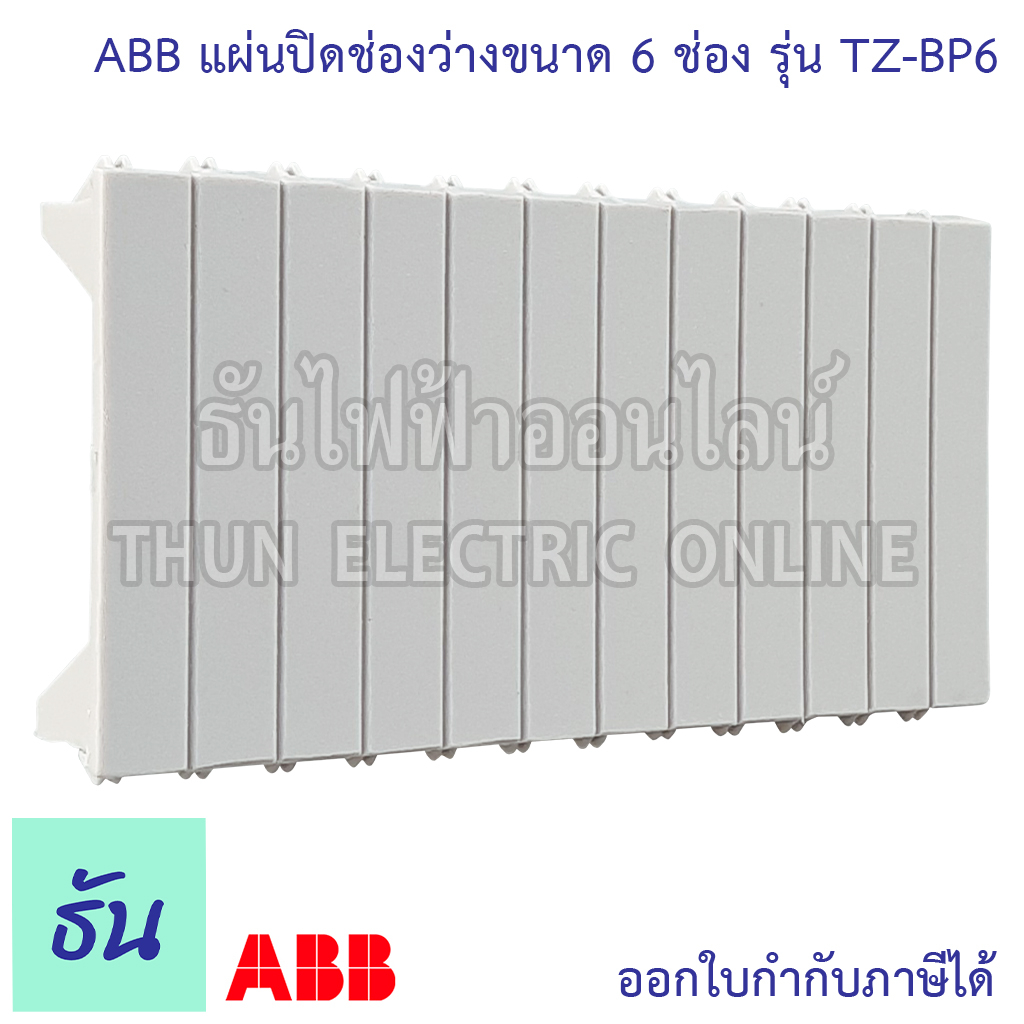 ABB แผ่นปิดช่องว่างขนาด 6 ช่อง รุ่น TZ-BP6 แผ่นปิดตู้ แผ่นปิดช่องว่าง ฝาอุด เกาะราง สำหรับ ตู้คอนซูม