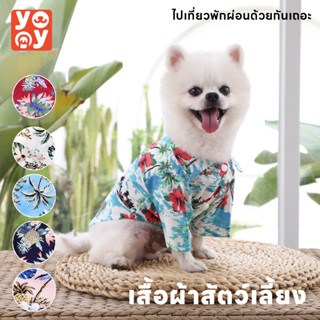 yoyo Pet: พร้อมส่ง🌸เสื้อสุนัข สไตล์ฮาวาย ชุดแมว หมาพันธุ์ใหญ่ สัตว์เลี้ยงแฟนซี