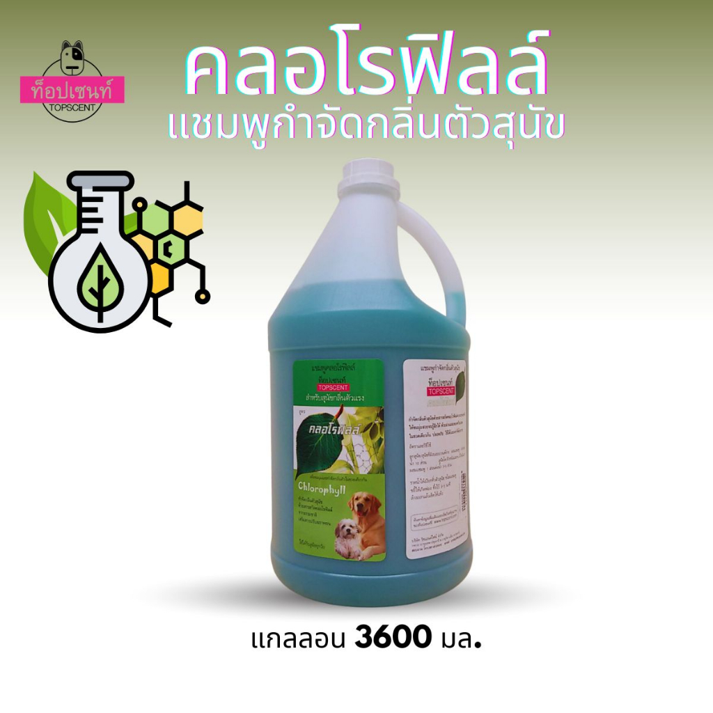 แชมพูสุนัขท็อปเซนท์ สูตรคลอโรฟิลล์กำจัดกลิ่นตัว 3,600 มล.