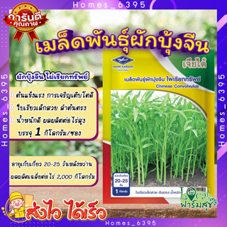 เมล็ดพันธุ์ผักบุ้งจีน ไผ่เรียกทรัพย์ 1kg 🍃 ระยะเก็บเกี่ยว 20-25 วัน เมล็ดพันธุ์ เจียไต๋โฮมการ์เด้น  เมล็ดผักบุ้งจีน