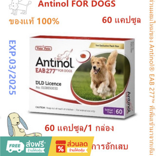 Antinol DOG ช่วยบำรุงข้อ กระดูก ขน ผิวหนัง และไต(1 กล่อง 60 caps) สำหรับสัตว์เลี้ยง EXP.03/2025