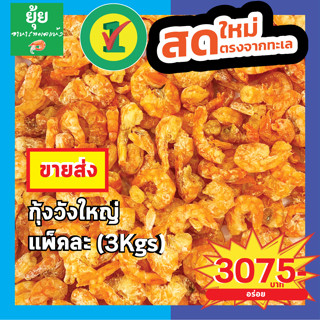 [ขายส่ง]กุ้งวังใหญ่ ตัวใหญ่ เนื้อแน่น ไม่มีเปลือก 3kg 5kg