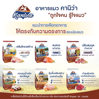 Kaniva คานิว่า ขนาด2.8 - 3.2 kg สำหรับ ลูกแมวและแมวโต