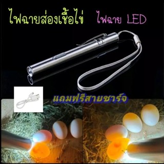 ไฟฉายส่องเชื้อไข่ ไฟฉายLED ไฟฉายพกพา